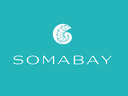 Soma Bay Developments